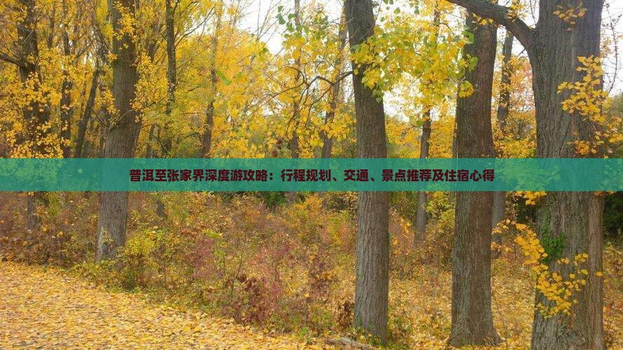 普洱至张家界深度游攻略：行程规划、交通、景点推荐及住宿心得