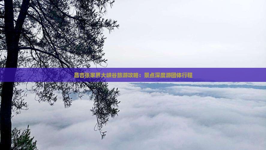 昌吉张家界大峡谷旅游攻略：景点深度游团体行程