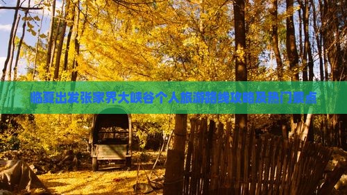 临夏出发张家界大峡谷个人旅游路线攻略及热门景点