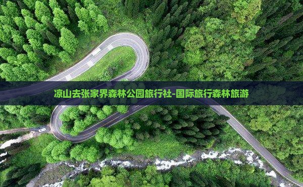 凉山去张家界森林公园旅行社-国际旅行森林旅游