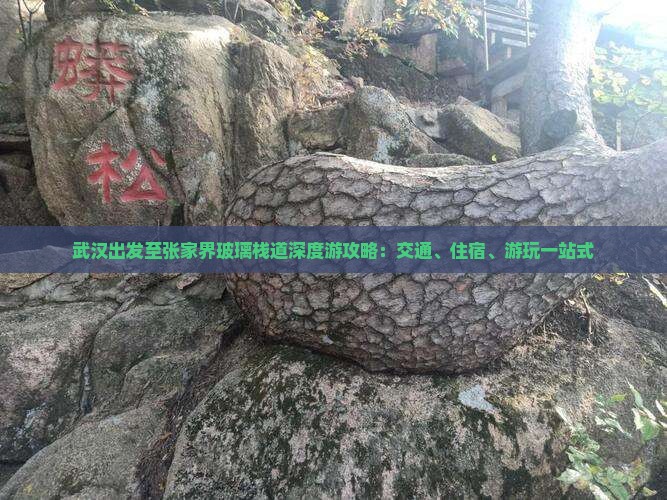 武汉出发至张家界玻璃栈道深度游攻略：交通、住宿、游玩一站式