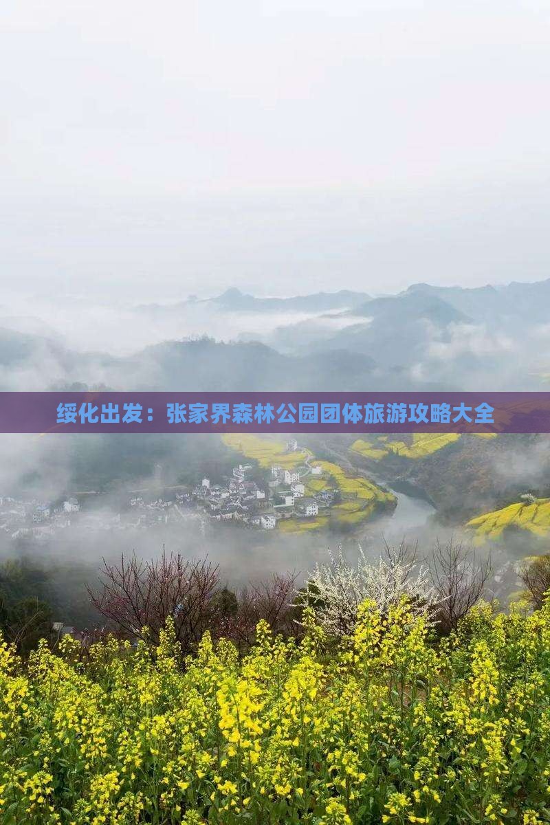 绥化出发：张家界森林公园团体旅游攻略大全