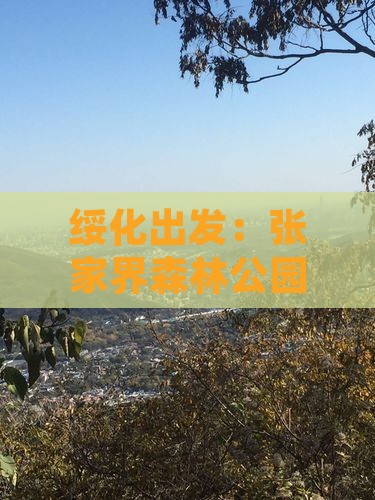 绥化出发：张家界森林公园团体旅游攻略大全