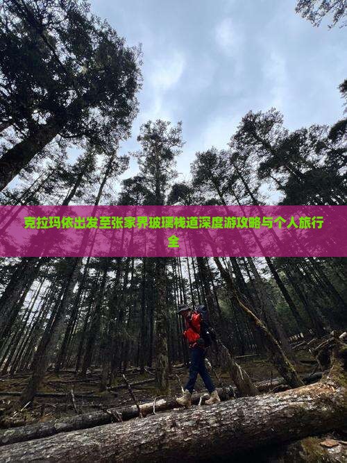 克拉玛依出发至张家界玻璃栈道深度游攻略与个人旅行全
