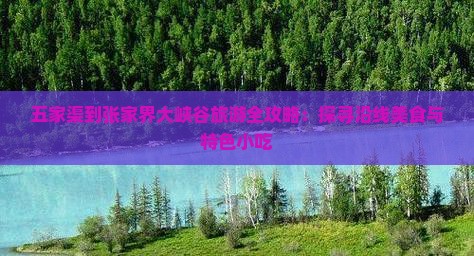五家渠到张家界大峡谷旅游全攻略：探寻沿线美食与特色小吃