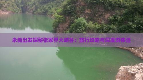 永新出发探秘张家界大峡谷：旅行攻略与深度游体验