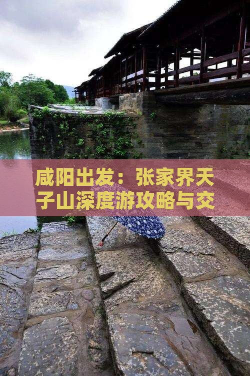 咸阳出发：张家界天子山深度游攻略与交通