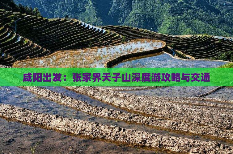 咸阳出发：张家界天子山深度游攻略与交通