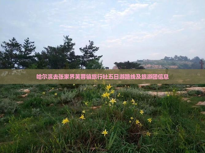 哈尔滨去张家界芙蓉镇旅行社五日游路线及旅游团信息