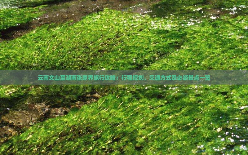 云南文山至湖南张家界旅行攻略：行程规划、交通方式及必游景点一览