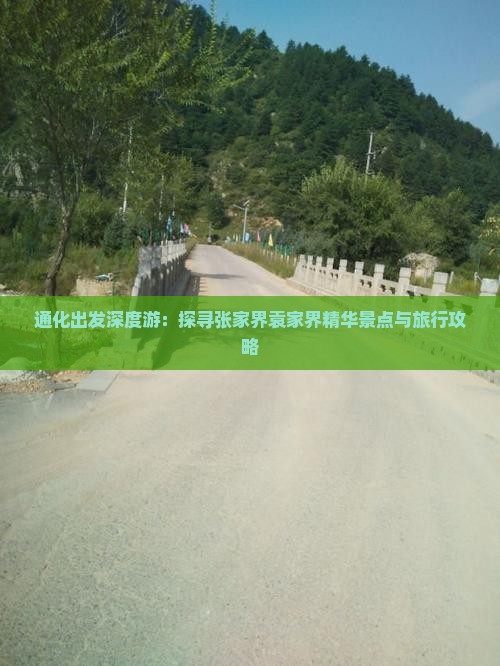 通化出发深度游：探寻张家界袁家界精华景点与旅行攻略