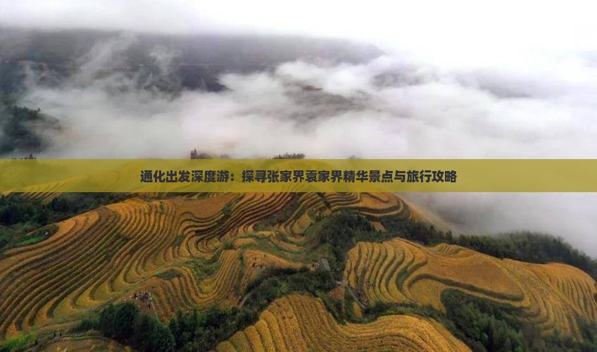 通化出发深度游：探寻张家界袁家界精华景点与旅行攻略