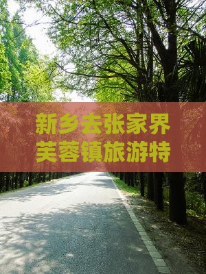 新乡去张家界芙蓉镇旅游特色小吃攻略
