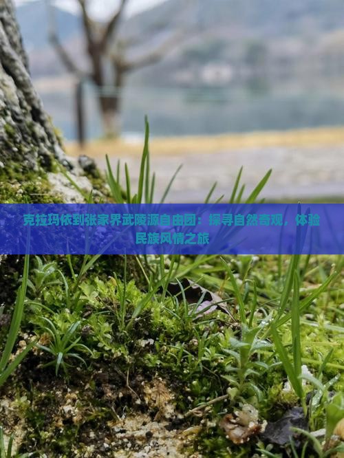 克拉玛依到张家界武陵源自由团：探寻自然奇观，体验民族风情之旅