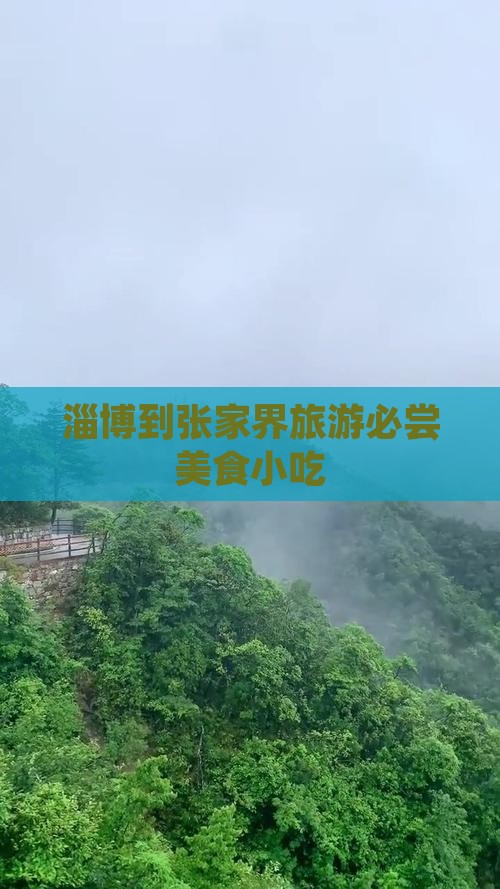 淄博到张家界旅游必尝美食小吃