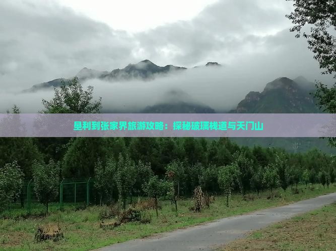 垦利到张家界旅游攻略：探秘玻璃栈道与天门山