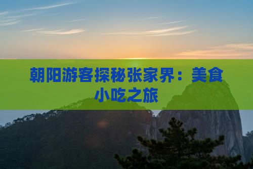 朝阳游客探秘张家界：美食小吃之旅