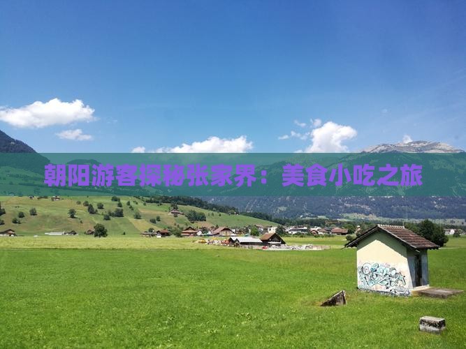 朝阳游客探秘张家界：美食小吃之旅