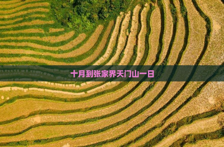 十月到张家界天门山一日