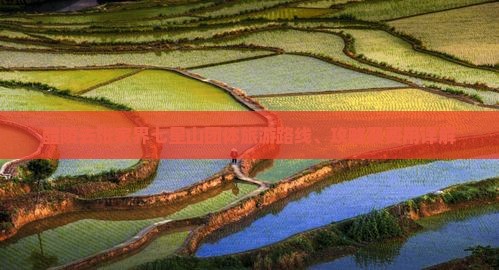 醴陵去张家界七星山团体旅游路线、攻略及费用详解