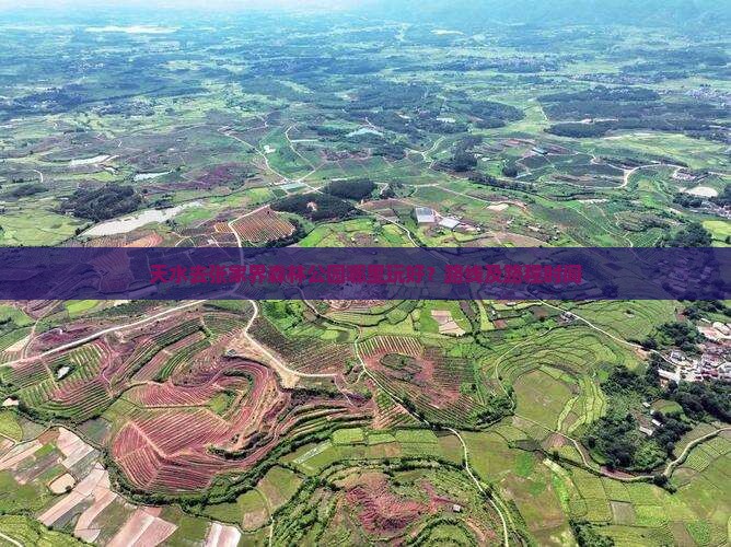 天水去张家界森林公园哪里玩好？路线及路程时间