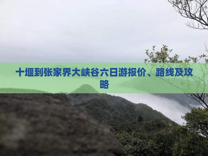 十堰到张家界大峡谷六日游报价、路线及攻略