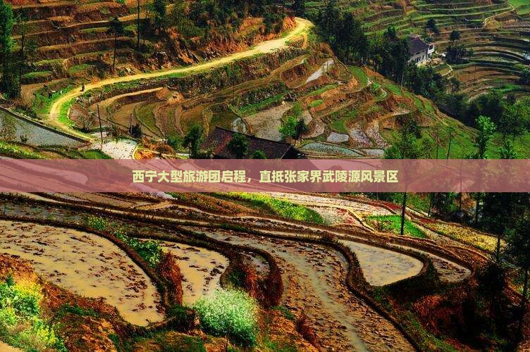 西宁大型旅游团启程，直抵张家界武陵源风景区