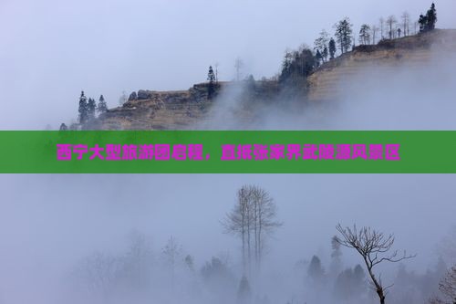 西宁大型旅游团启程，直抵张家界武陵源风景区