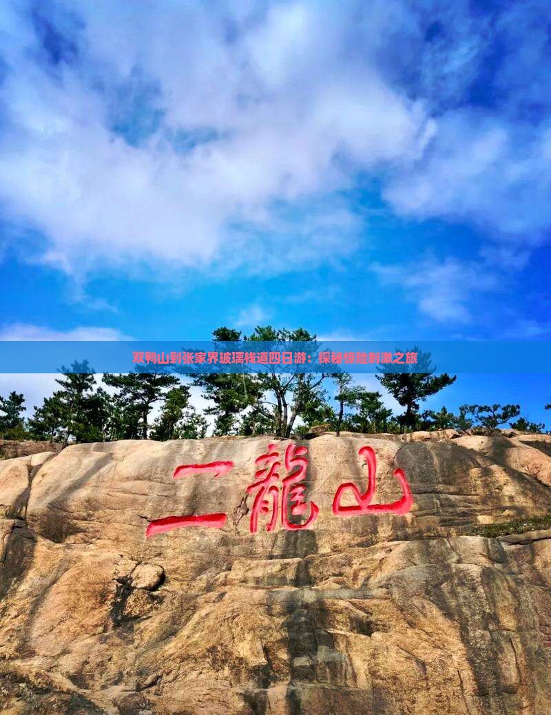 双鸭山到张家界玻璃栈道四日游：探秘惊险刺激之旅