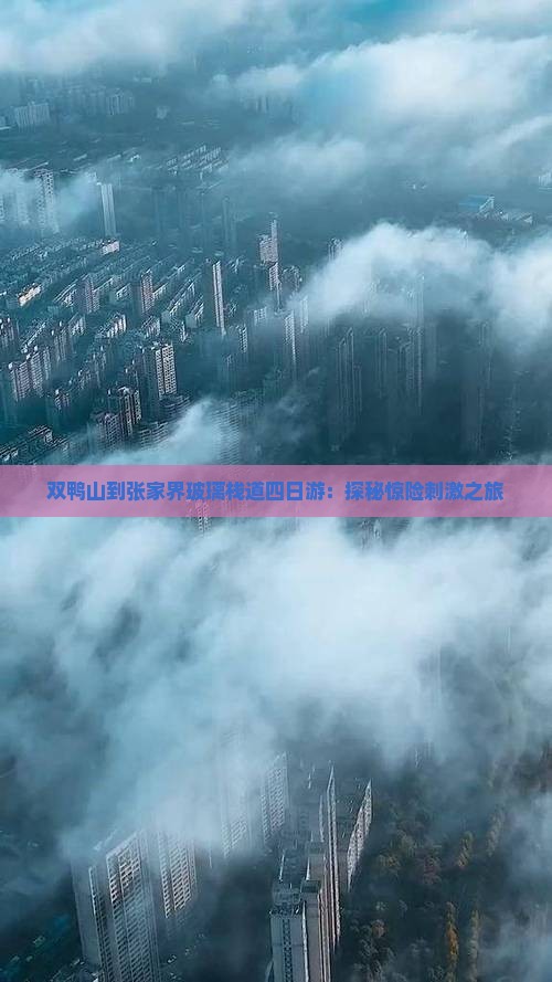 双鸭山到张家界玻璃栈道四日游：探秘惊险刺激之旅