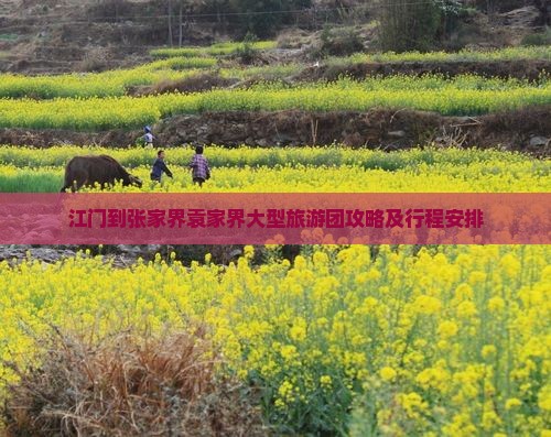江门到张家界袁家界大型旅游团攻略及行程安排
