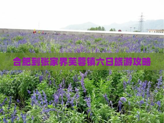 合肥到张家界芙蓉镇六日旅游攻略