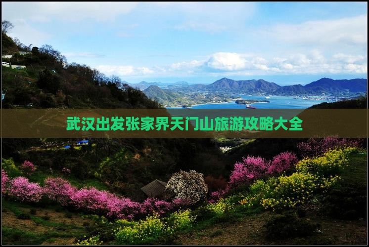 武汉出发张家界天门山旅游攻略大全