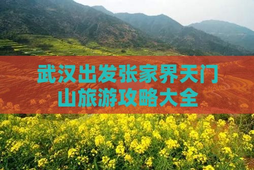 武汉出发张家界天门山旅游攻略大全