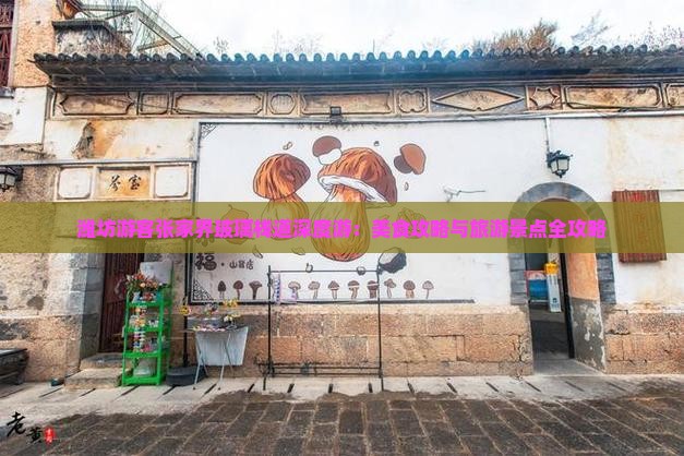 潍坊游客张家界玻璃栈道深度游：美食攻略与旅游景点全攻略