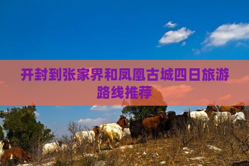 开封到张家界和凤凰古城四日旅游路线推荐