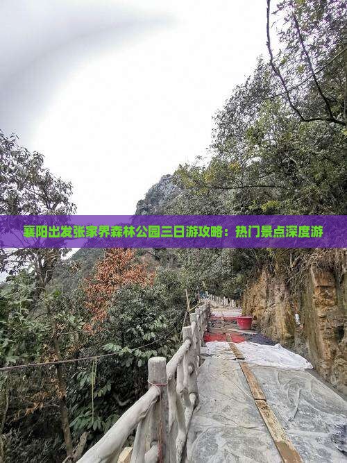 襄阳出发张家界森林公园三日游攻略：热门景点深度游