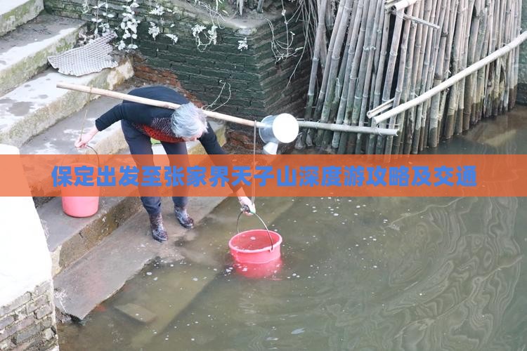 保定出发至张家界天子山深度游攻略及交通