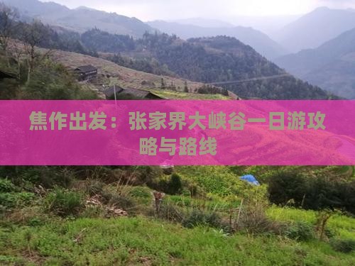焦作出发：张家界大峡谷一日游攻略与路线