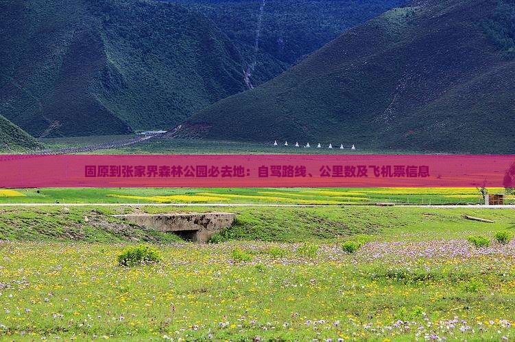 固原到张家界森林公园必去地：自驾路线、公里数及飞机票信息