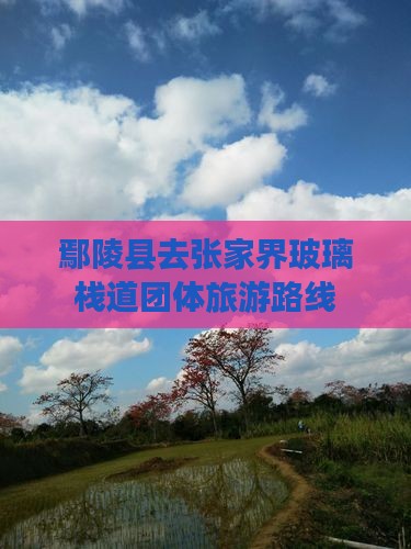 鄢陵县去张家界玻璃栈道团体旅游路线