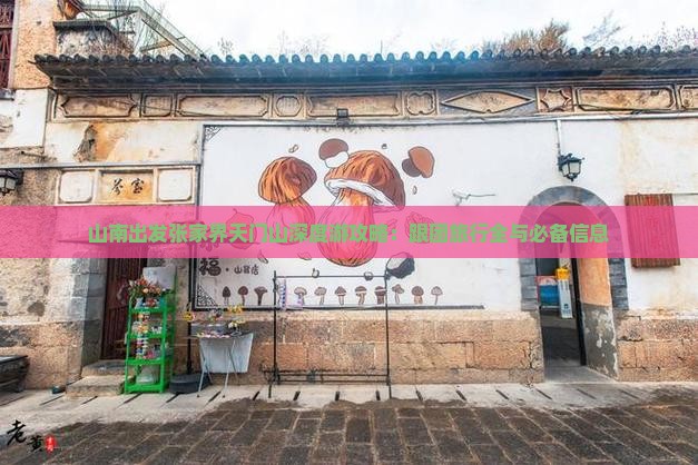 山南出发张家界天门山深度游攻略：跟团旅行全与必备信息