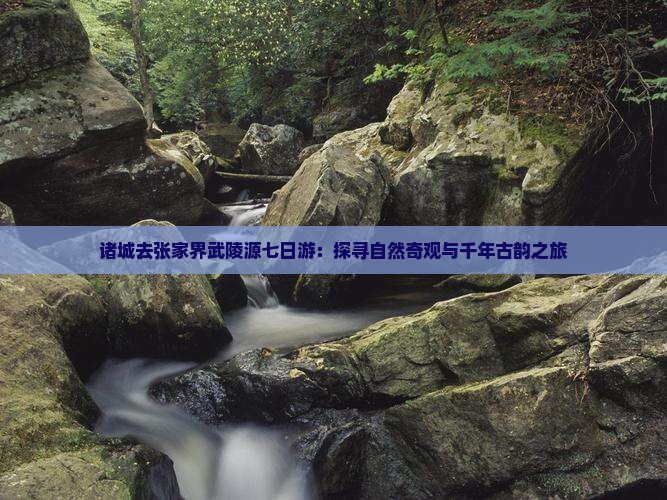 诸城去张家界武陵源七日游：探寻自然奇观与千年古韵之旅