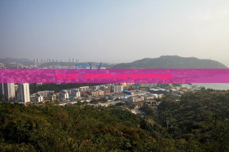 铜仁出发：张家界森林公园自驾旅游攻略与路线