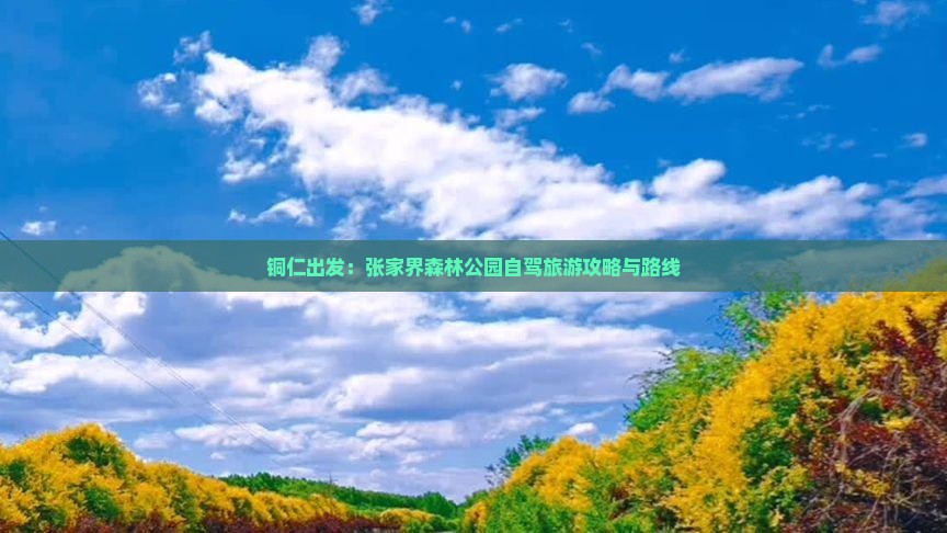 铜仁出发：张家界森林公园自驾旅游攻略与路线