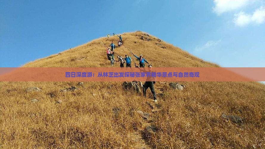 四日深度游：从林芝出发探秘张家界精华景点与自然奇观