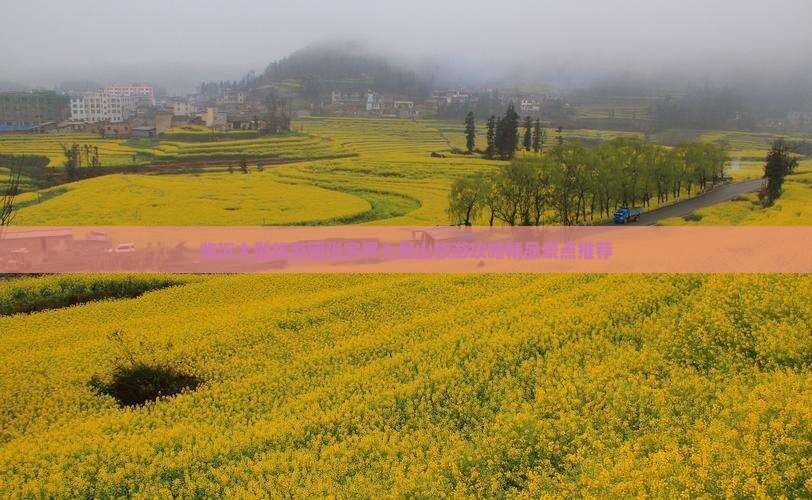临沂大型旅游团张家界七星山旅游攻略精品景点推荐