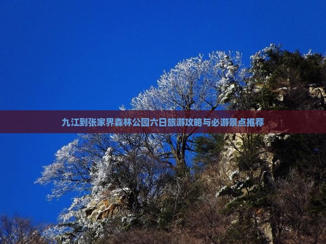 九江到张家界森林公园六日旅游攻略与必游景点推荐