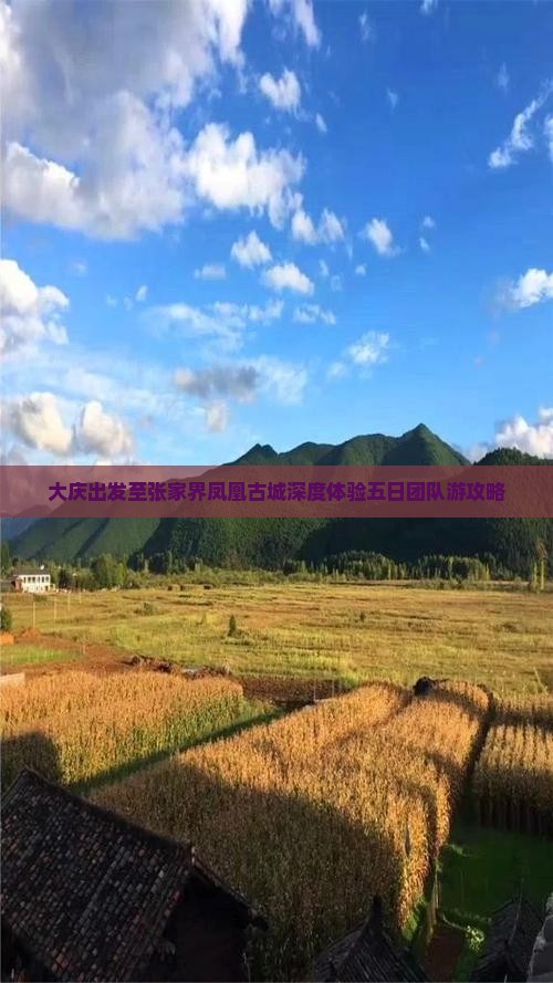 大庆出发至张家界凤凰古城深度体验五日团队游攻略