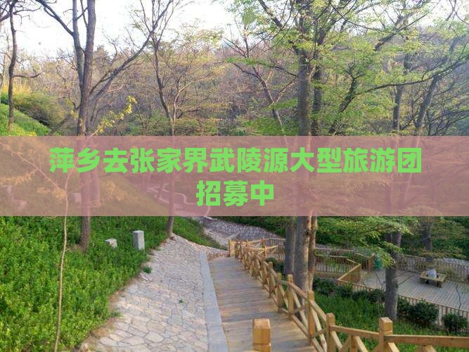 萍乡去张家界武陵源大型旅游团招募中
